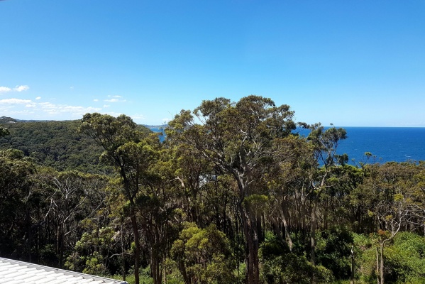 A view of Avoca Beach from the house